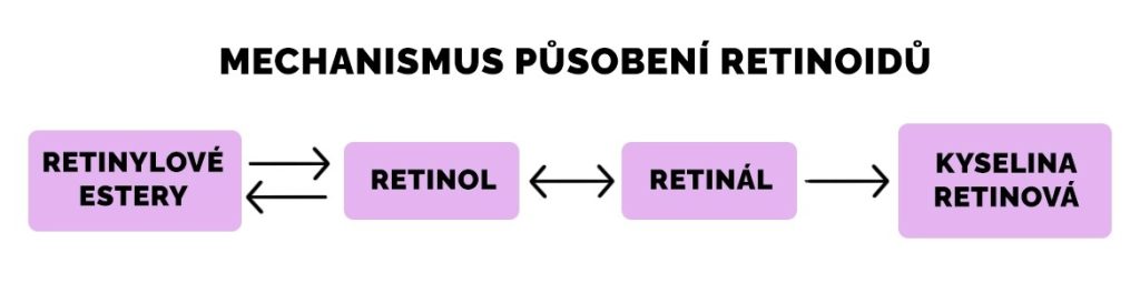 kosmetickou žebříčku“ retinoidů.
