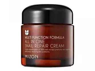 Mizon - All in One Snail Repair Cream - Multifunkční krém se šnečím slizem - 120 ml