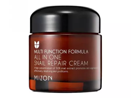Mizon - All in One Snail Repair Cream - Multifunkční krém se šnečím slizem - 120 ml