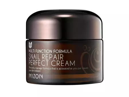 Mizon - Snail Repair Perfect Cream - Opravný krém se šnečím slizem - 50 ml