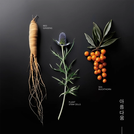 KORIKA - Korean Heritage Ginseng & Marine Stem Cells Cell Renew Eye Cream - Oční krém - 15 ml