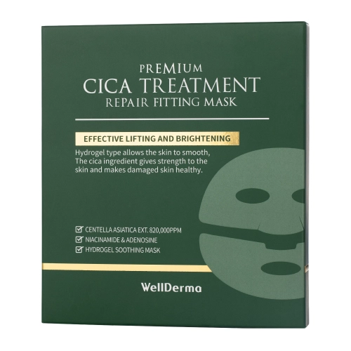 WellDerma - Premium Cica Treatment Repair Fitting Mask Set - Sada regeneračních hydrogelových masek na obličej - 4x25g