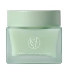 Kaine - Green Calm Aqua Cream - Zklidňující krém redukující začervenání pleti - 70 ml