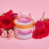 Tree Hut - Whipped Body Butter Moroccan Rose - Hydratační tělové máslo - Moroccan Rose - 240 g