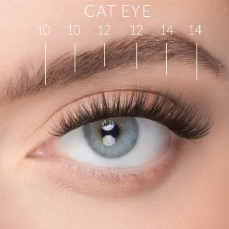 Nanolash - Stick & Go Pre-Glued Lashes - Trsy řas s lepidlem - Harmony - 1 balení