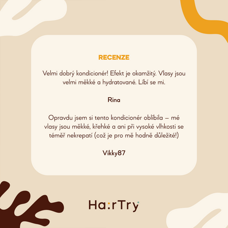 HairTry - Everyone, Everyday - Kondicionér pro každodenní použití - 250 ml