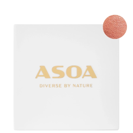 Asoa - Minerální tvářenka - Pastel Coral - 6 g
