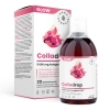 Aura Herbals - Colladrop Glow Mořský kolagen 5000 mg - Tekutý - 500 ml