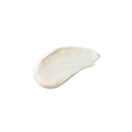 Evolve Organic Beauty - Daily Renew Natural Face Cream - Vyživující krém - 30 ml